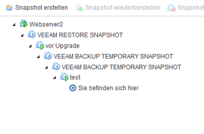 snapshots.PNG