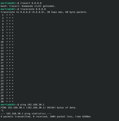 Ping3.JPG